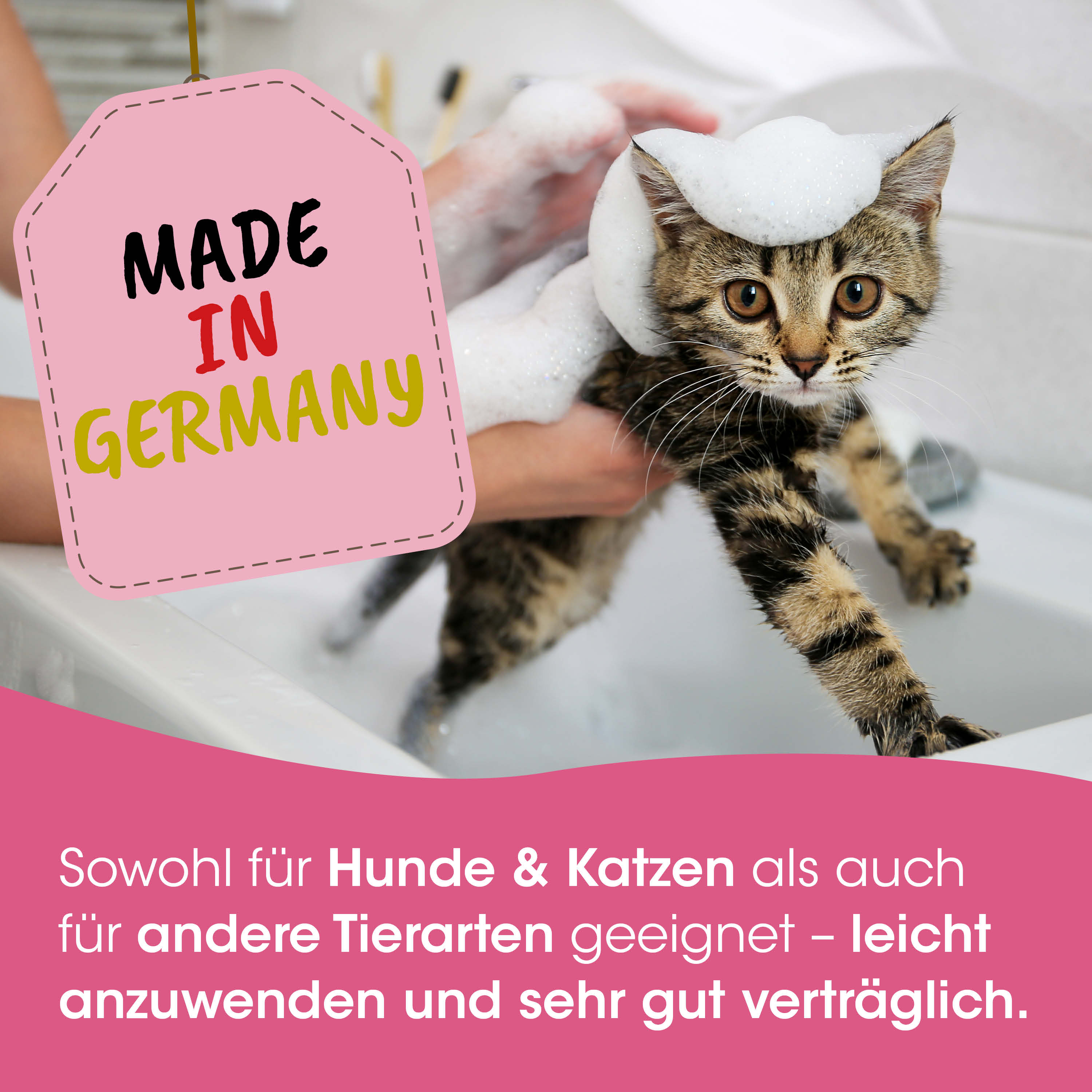 katze, katzenshampoo, waschen, tierpflege, tierische-szenen