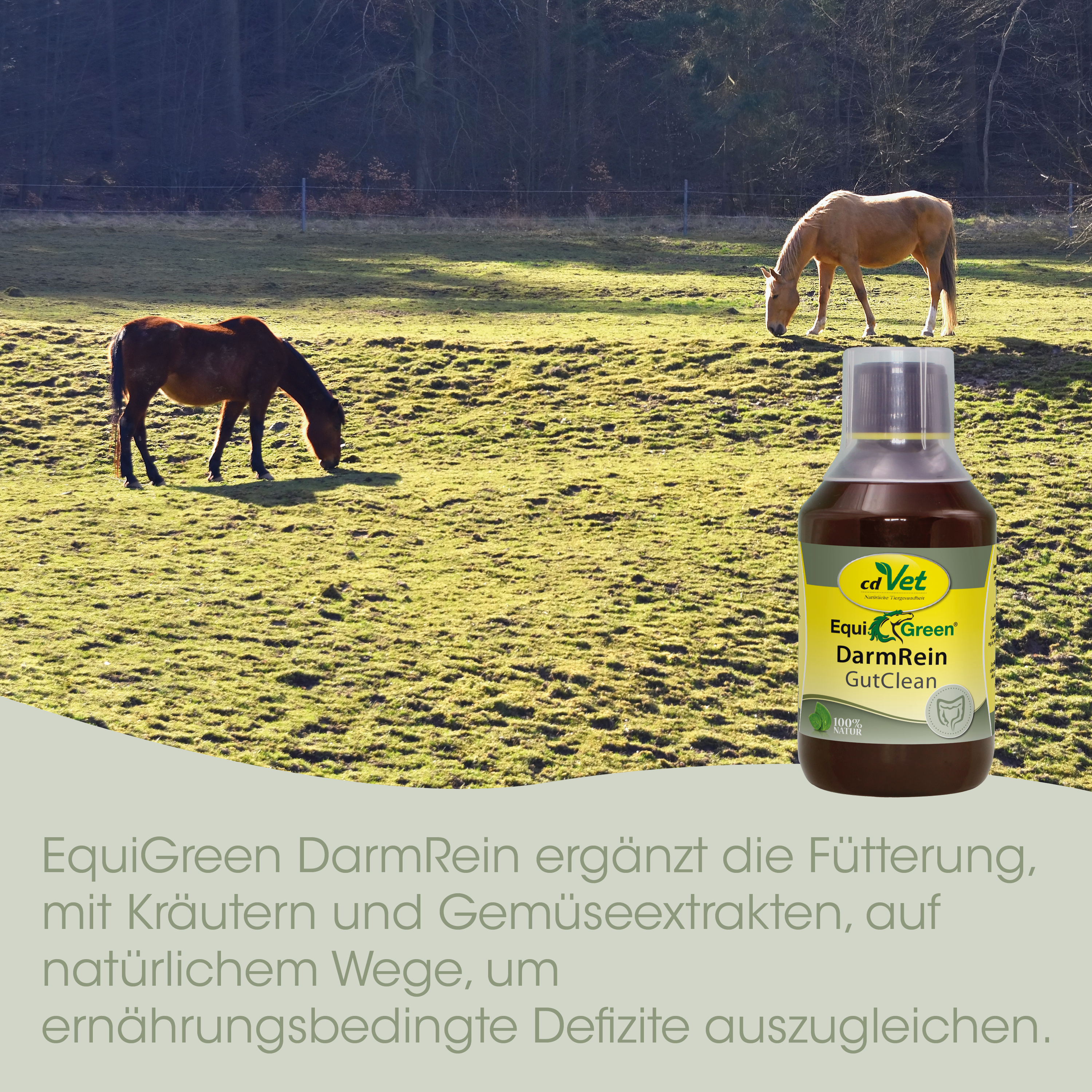 EquiGreen IntestinPur Poudre 300 g