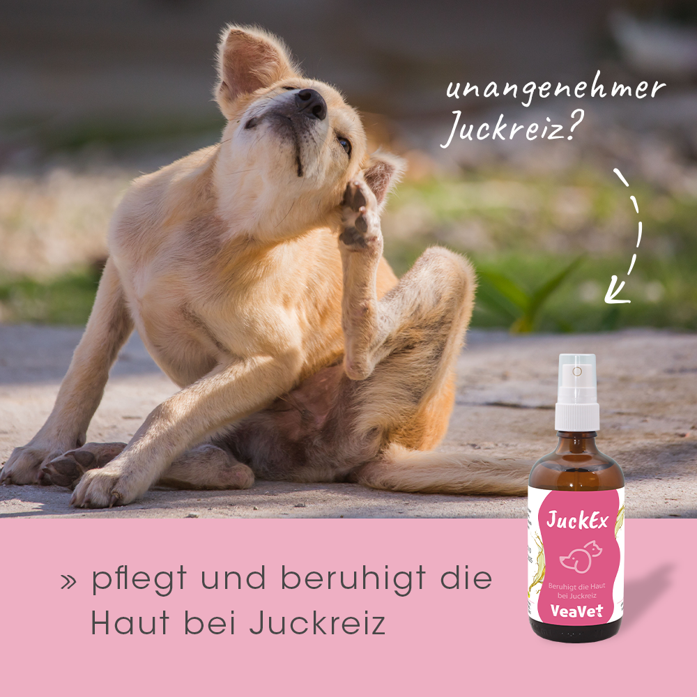VeaVet DémangeaisonsEx 100 ml