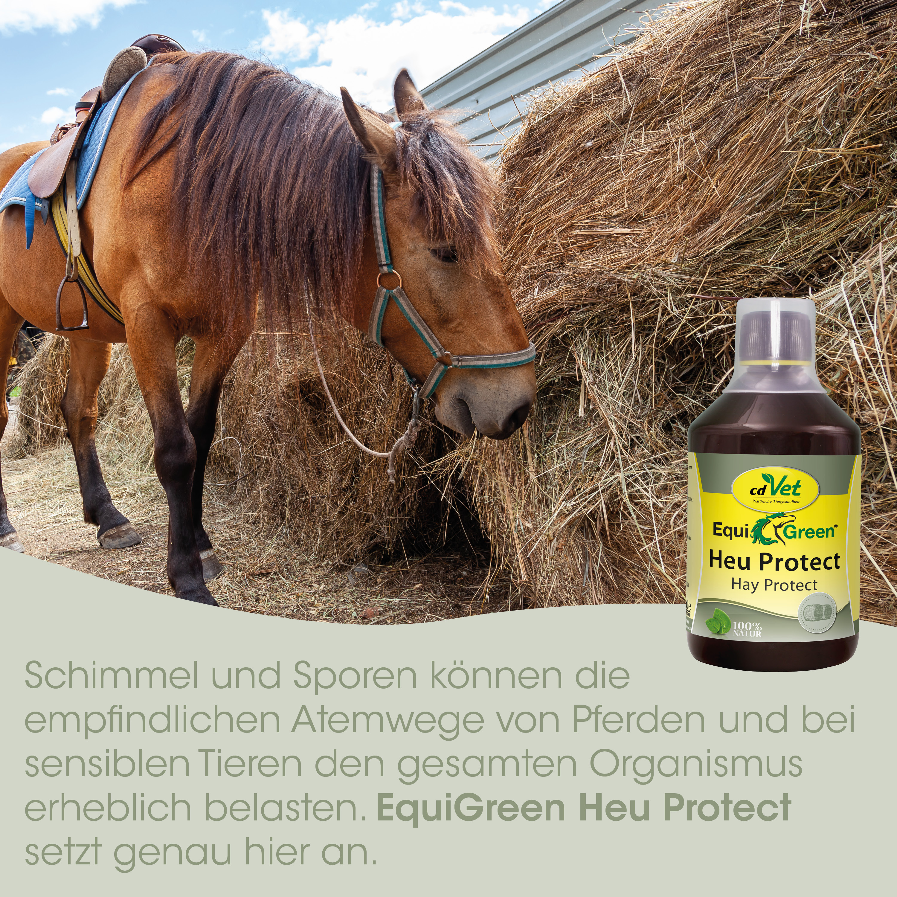 Pferd, Sattel, Hufschutz, Heu, Produktflasche