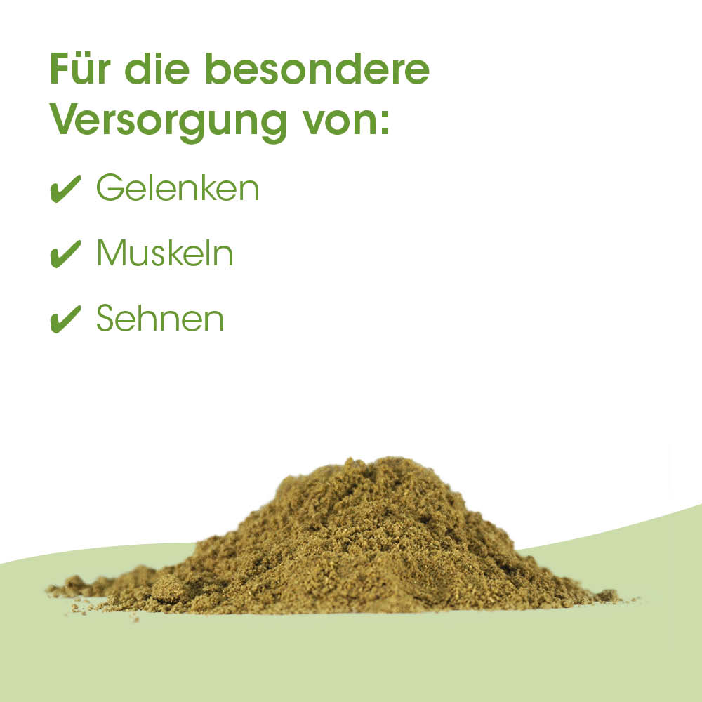 Kräuterpulver, Grünpulver, Puder, Naturmaterial, Pile