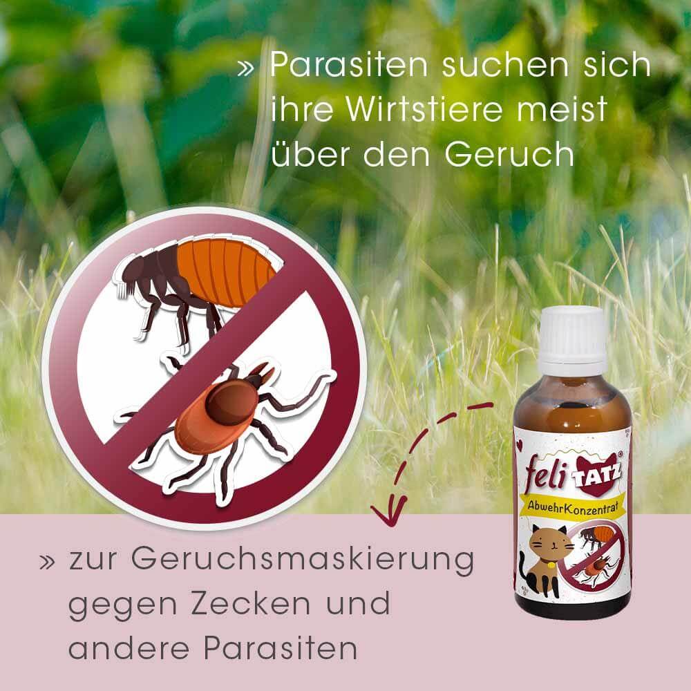 feliTATZ Concentré Défense 10 ml