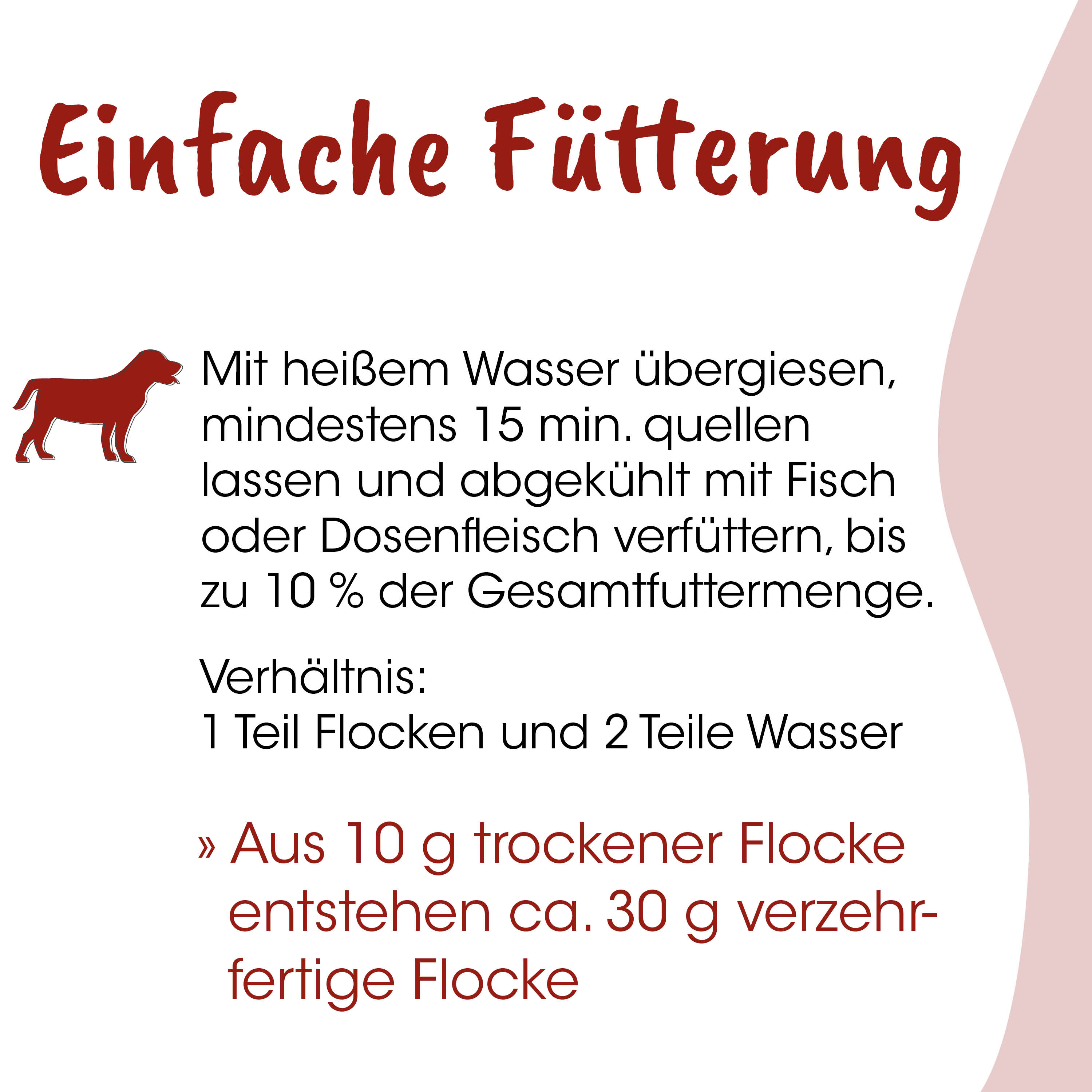 Hund, rote Figur, Fütterung, Tierfutter, Anleitung