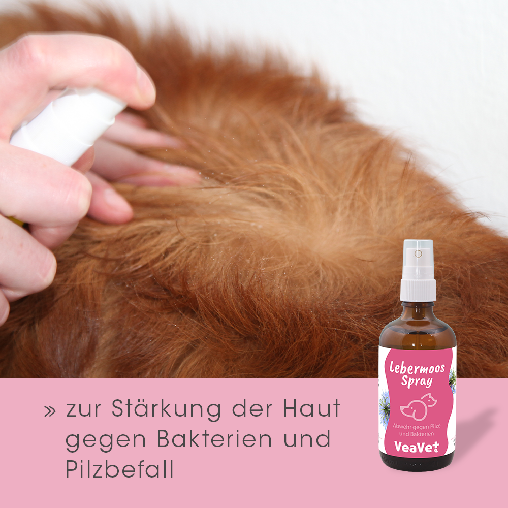 VeaVet Hépatique Spray 50 ml