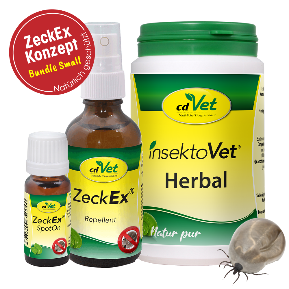 Bundle ZeckEx-Konzept Small Bundle ZeckEx-Konzept Small
