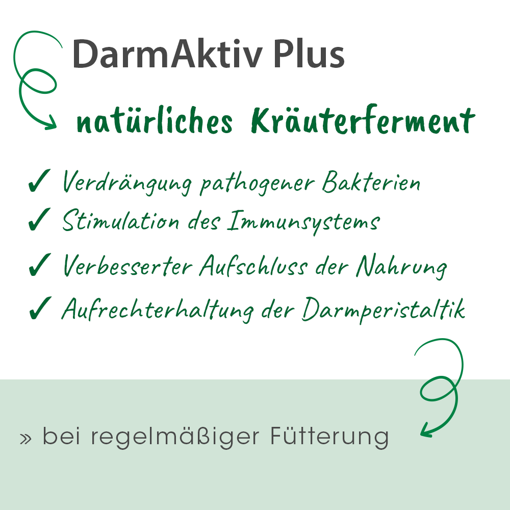 IntestinActif plus 1 L