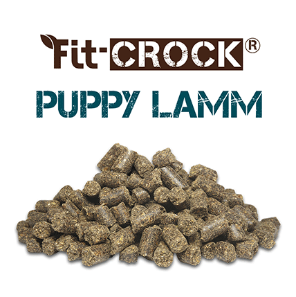 Fit-Crock Chiots Agneau 10 kg