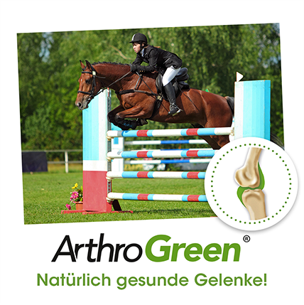 ArthroGreen Sport 700 g