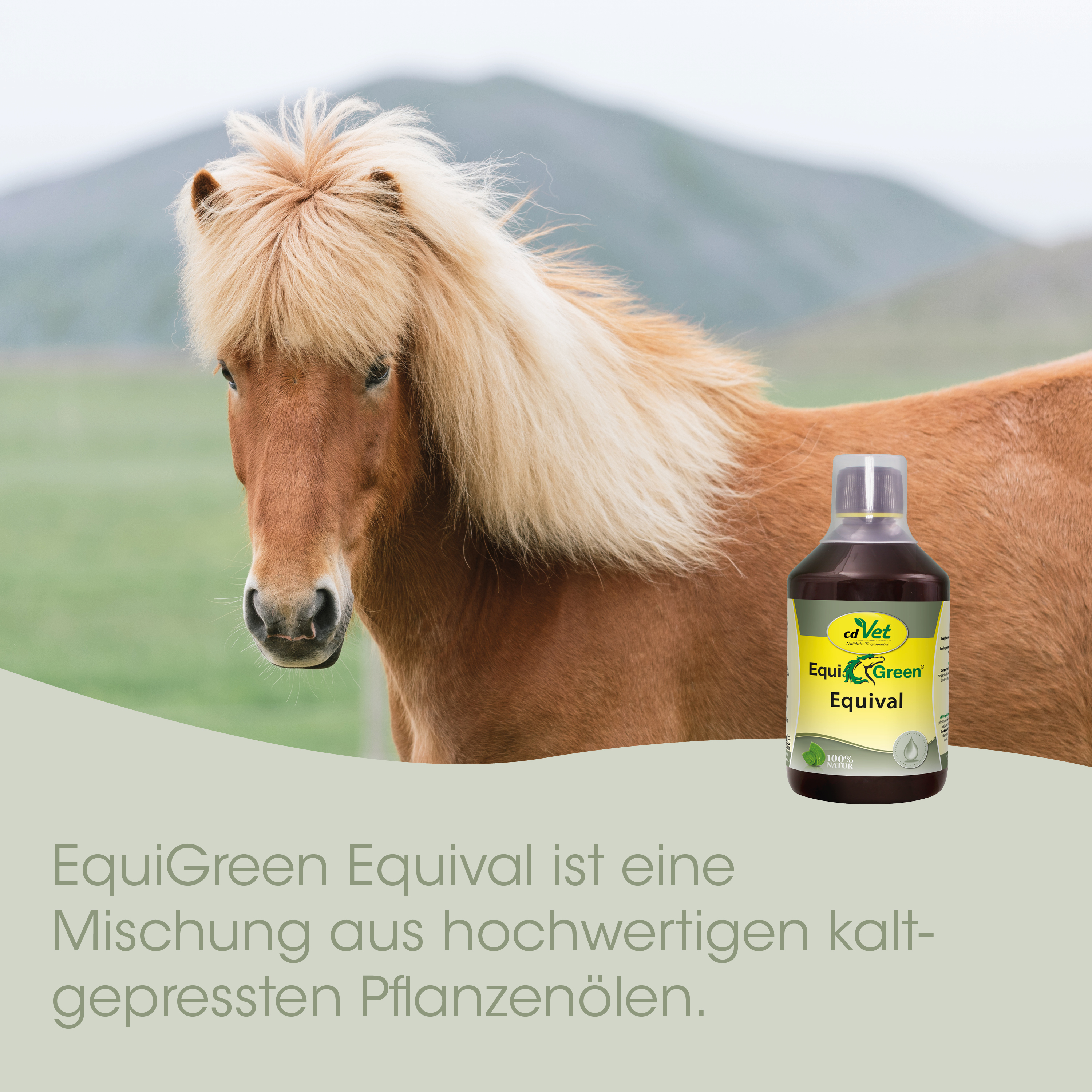 pferd, pony, mane, fell, ölflasche