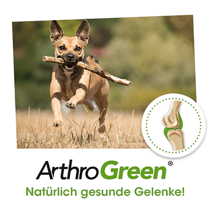 ArthroGreen Classique 345 g