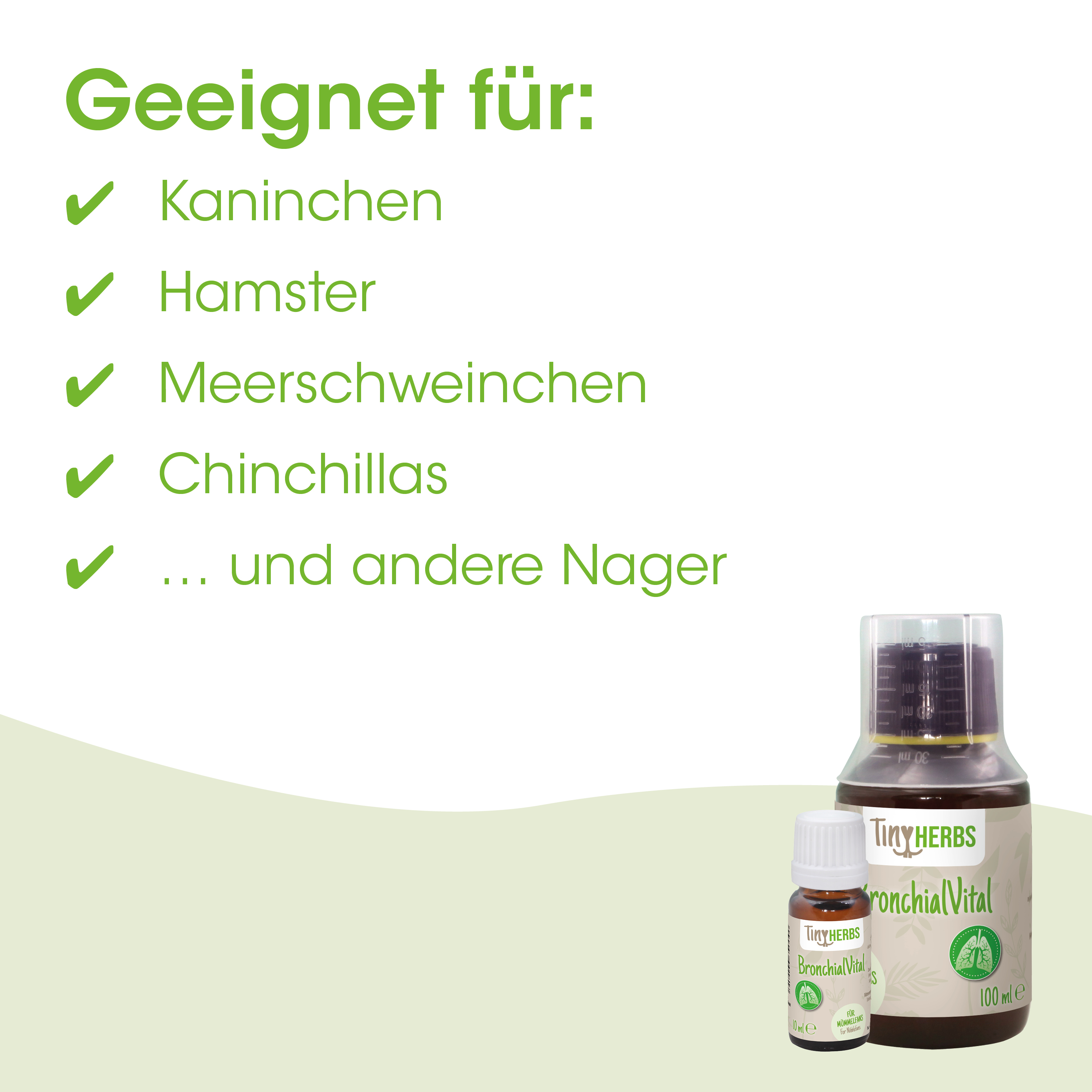 BronchialVital, Heilpflanze Tropfen, Flüssigpräparat, Kleine Flasche, Medizinflasche