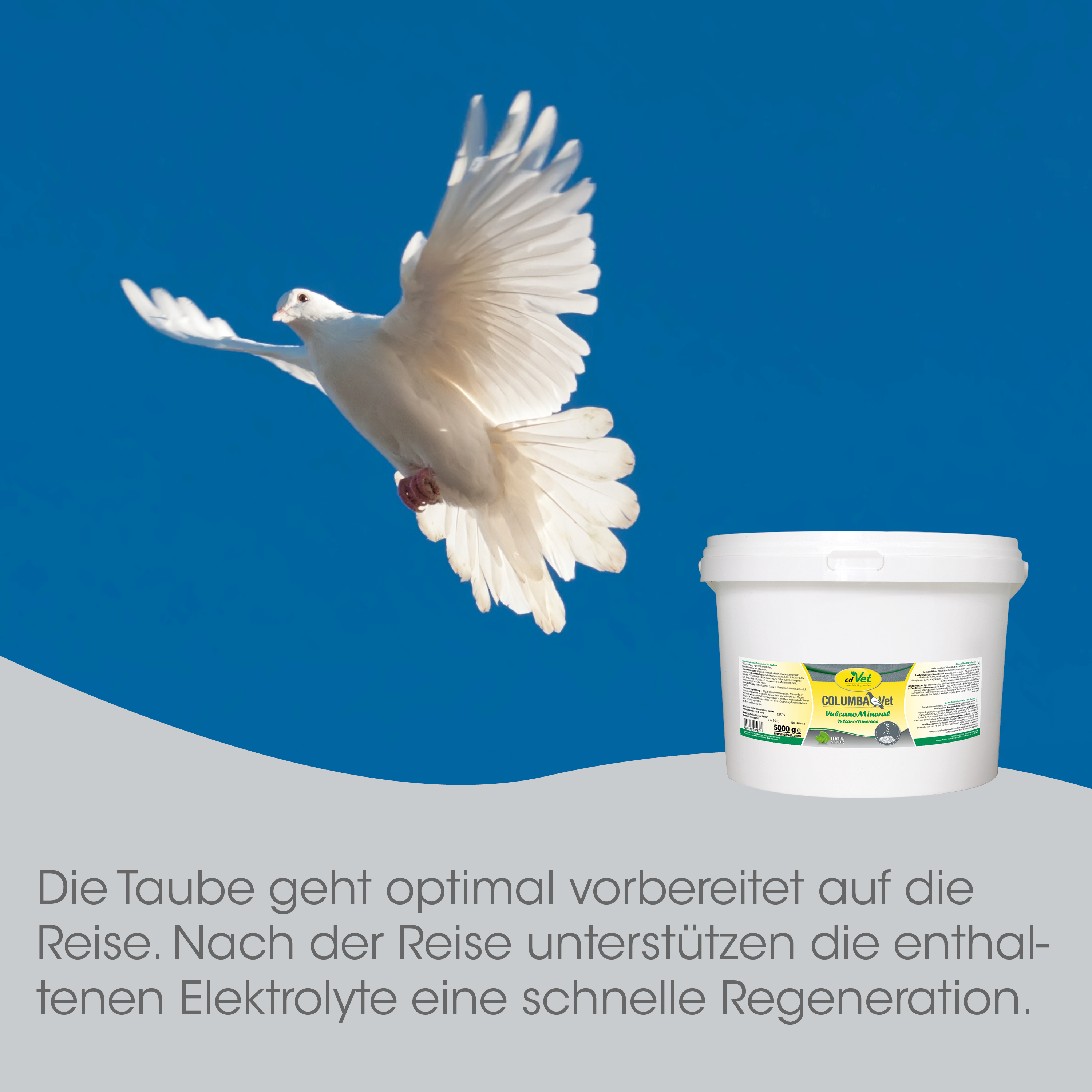 weiß, Taube, Flug, Container, Elektrolyt