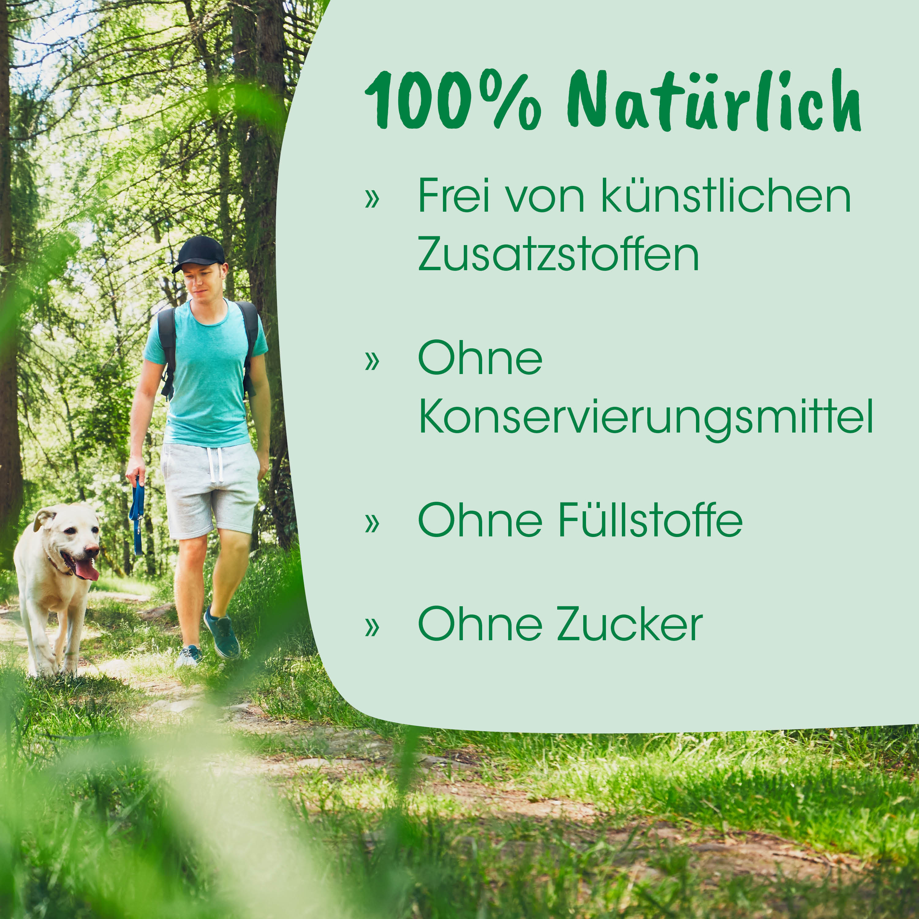 Outdoor, Wandern, Rucksack, Hund, T-Shirt
