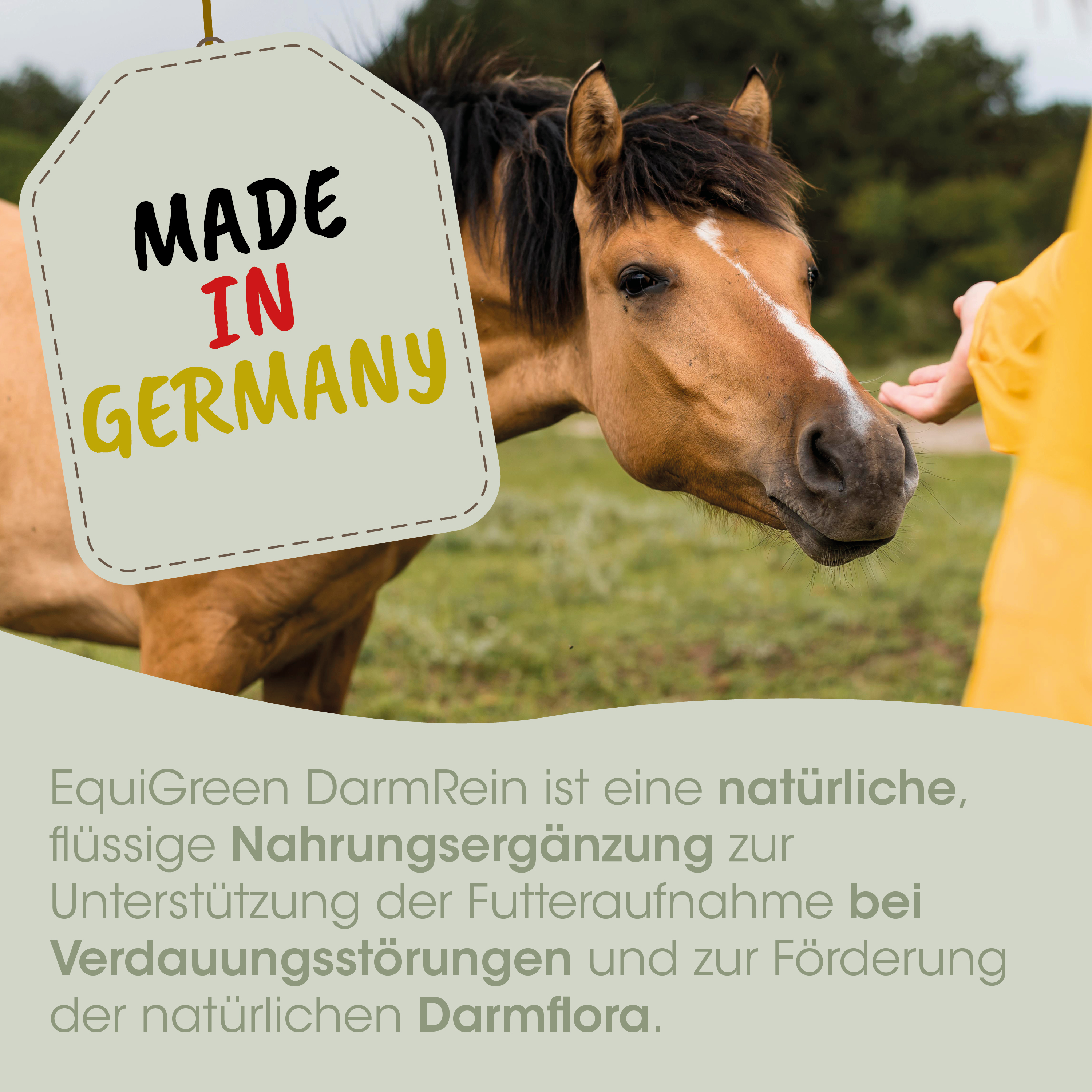 Pferd, Pferdeart, braun, natürlich, Made in Germany