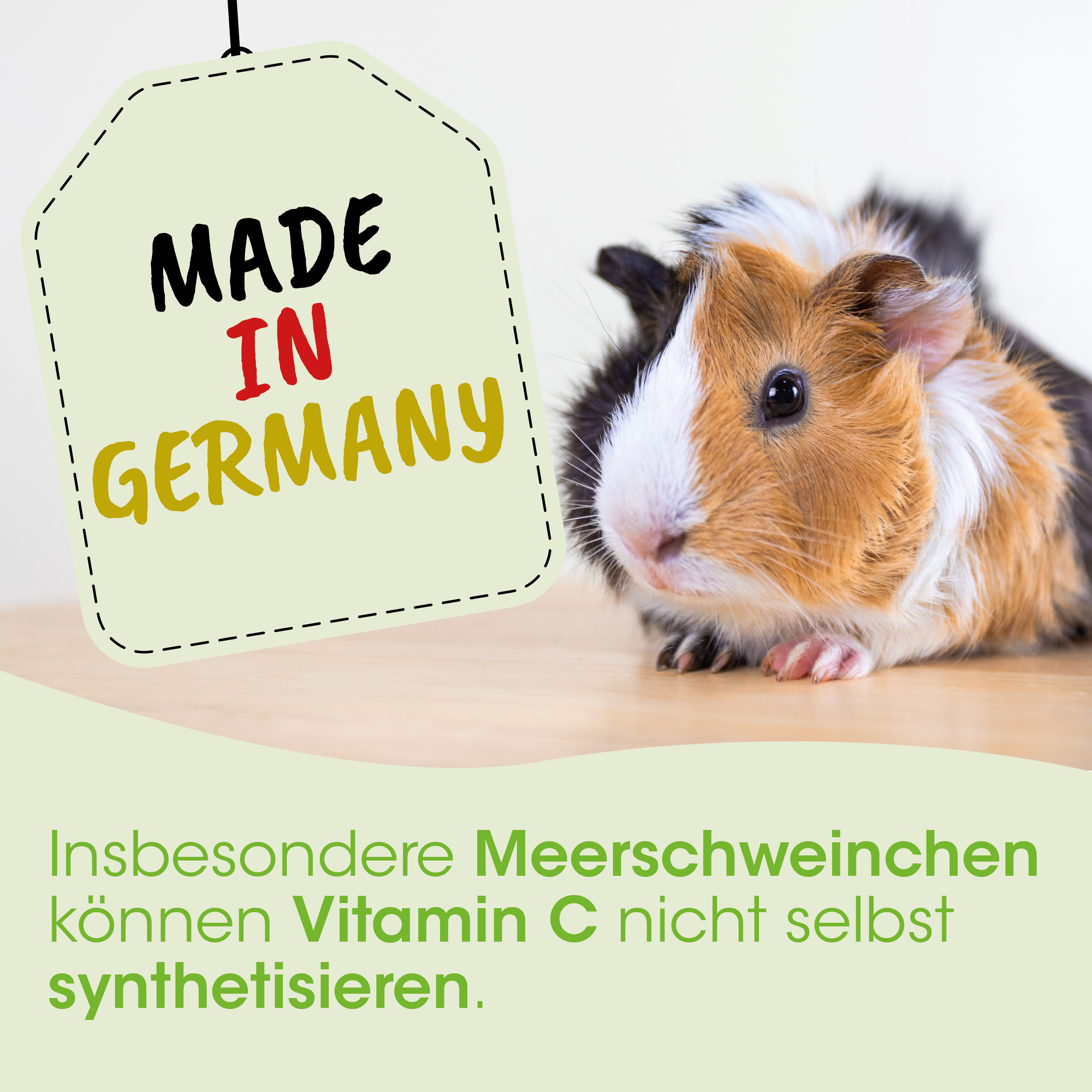 Guinea pig, Tierprodukt, Mehrfarbiges Fell, Vitamin-C-Behauptung, Kleintier