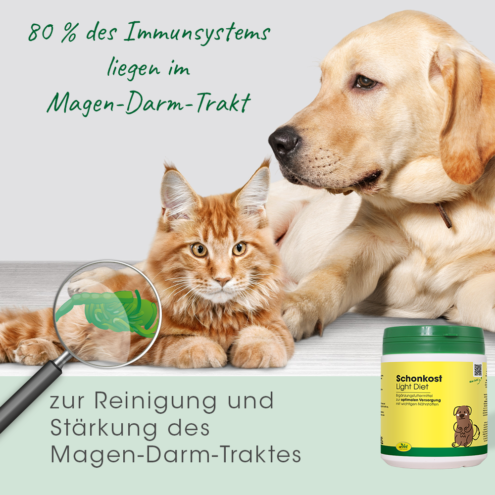 Nourriture Diététique 350 g