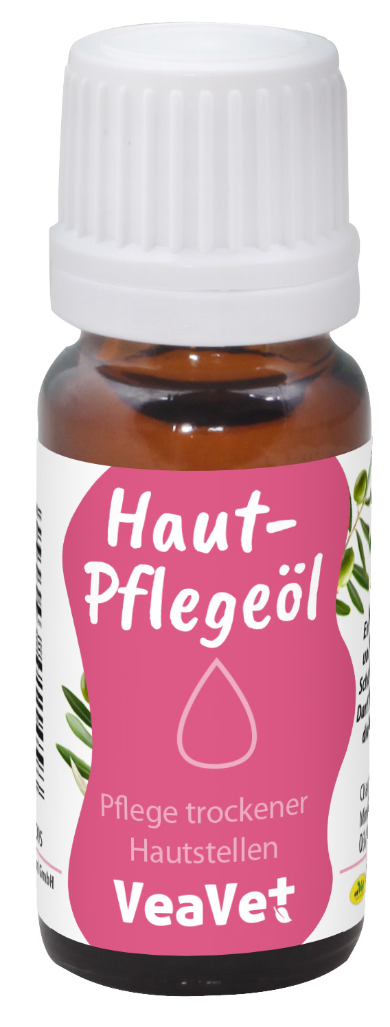 Kräuterig, Pflanze, Astragalus, Sirup, Bier