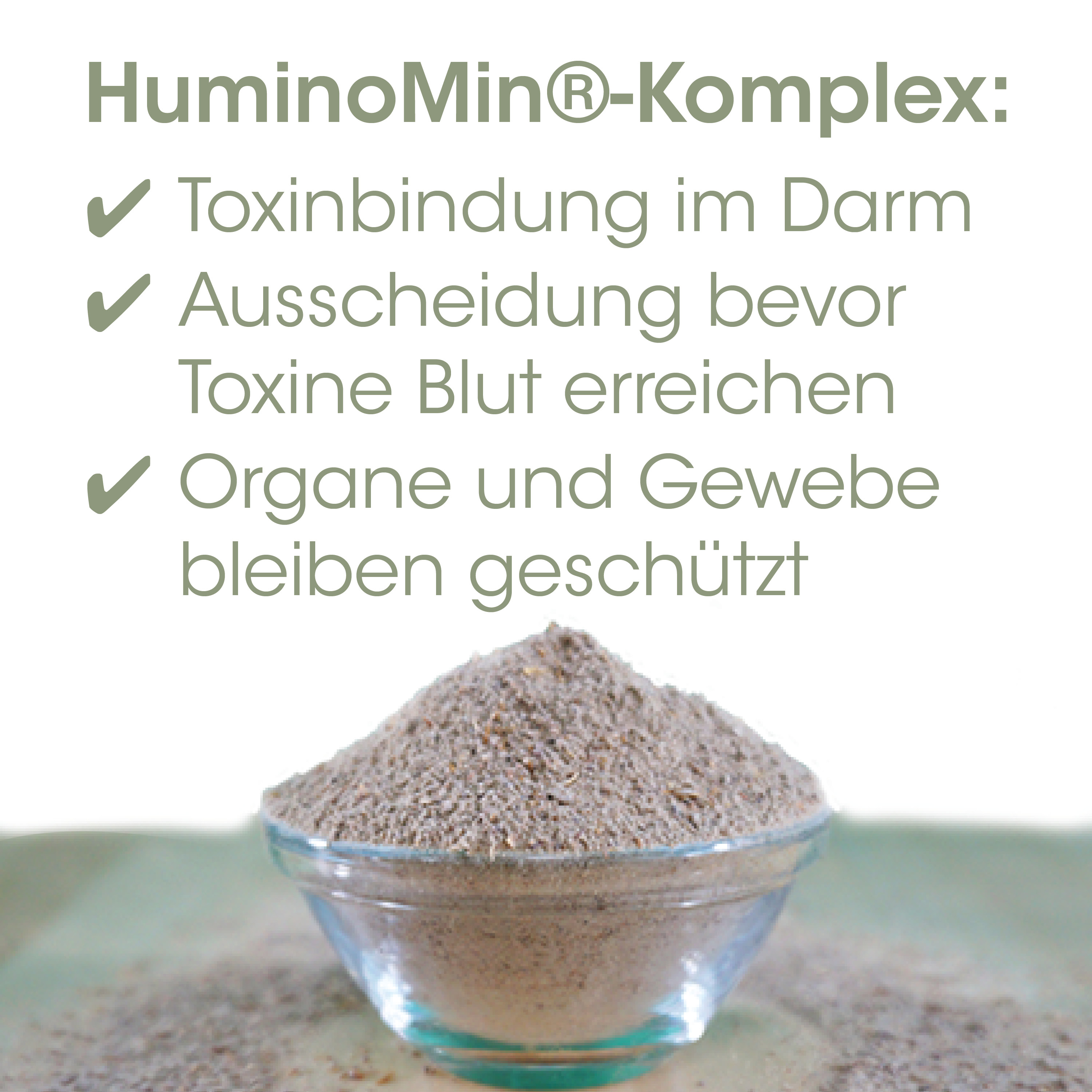 heilkollagen, toxibanbindung, darmmúin, proteinpulver, immunplex
