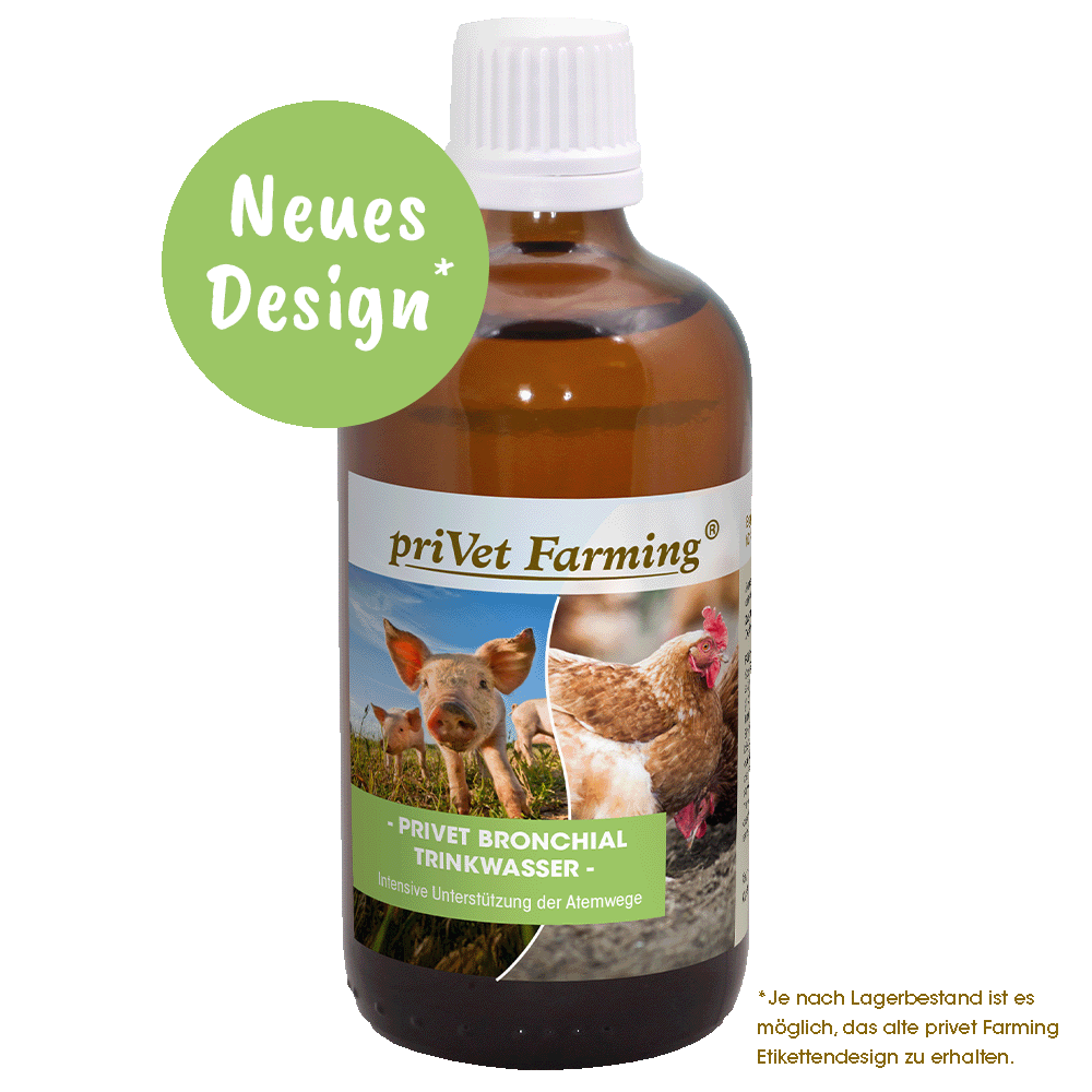 privet Bronchial Eau Potable 100 ml