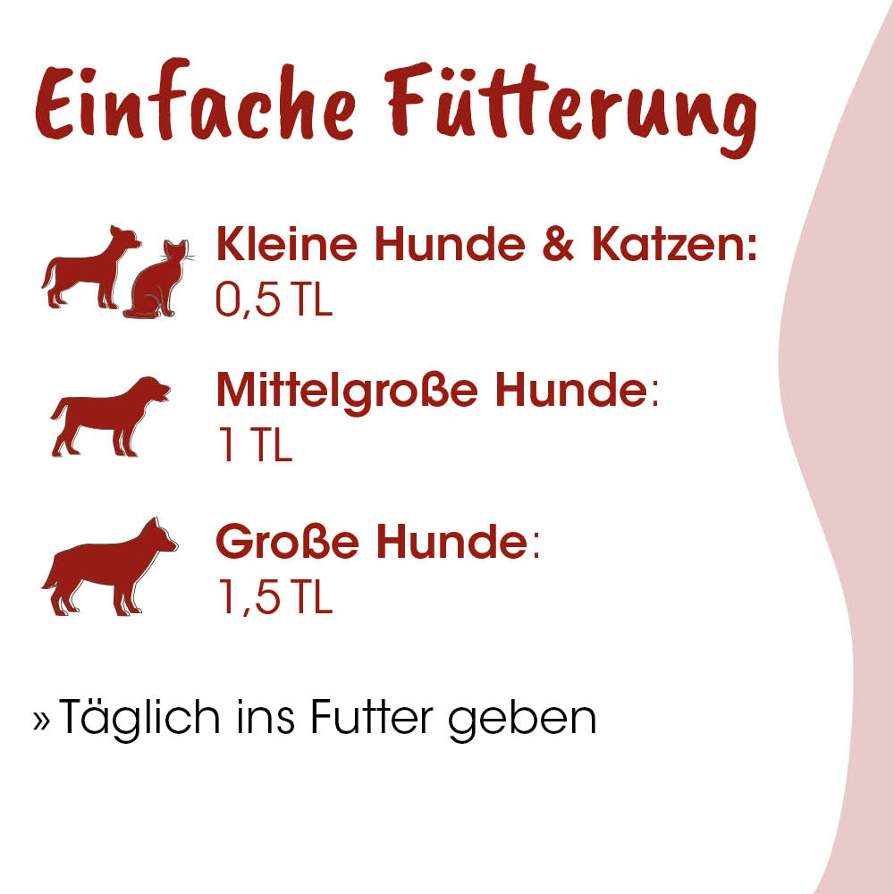 Hundefutter, Katzenfutter, Futterportionen, Tierfutter, Futtertipps
