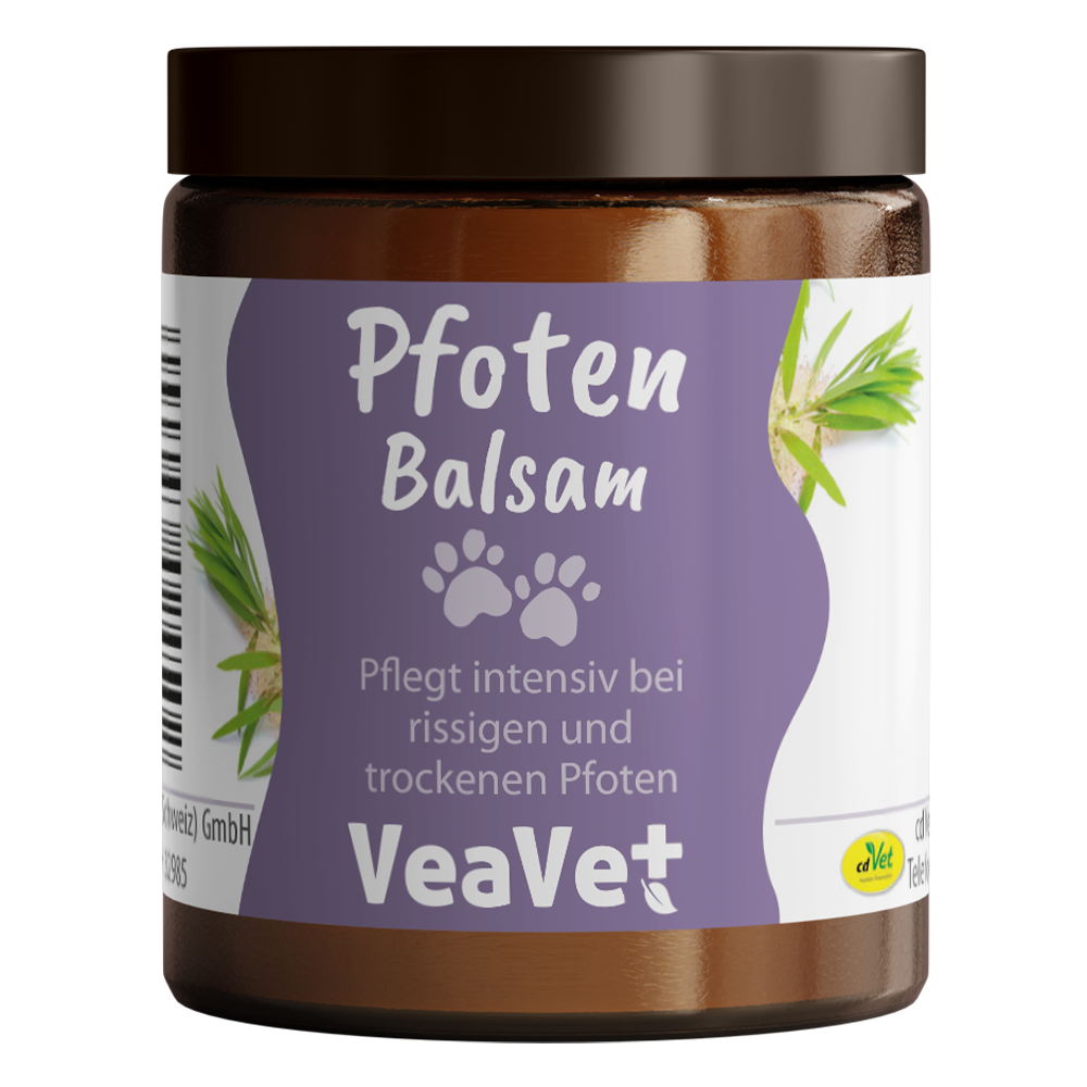 Pokal, Kräuterig, Schokolade, Essen, Heiße Schokolade