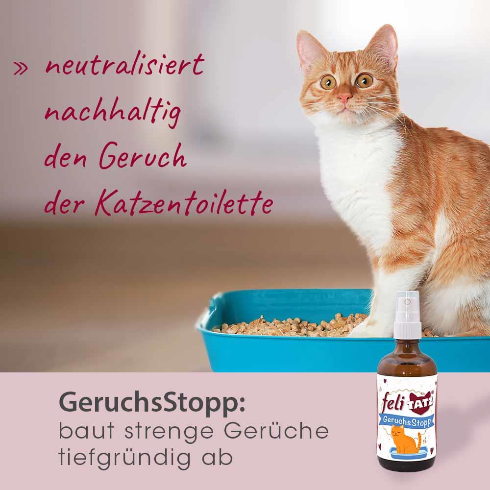 Katzenfutter, Katzenstreu, Toilette, Geruchsstopp, Spray/Flasche