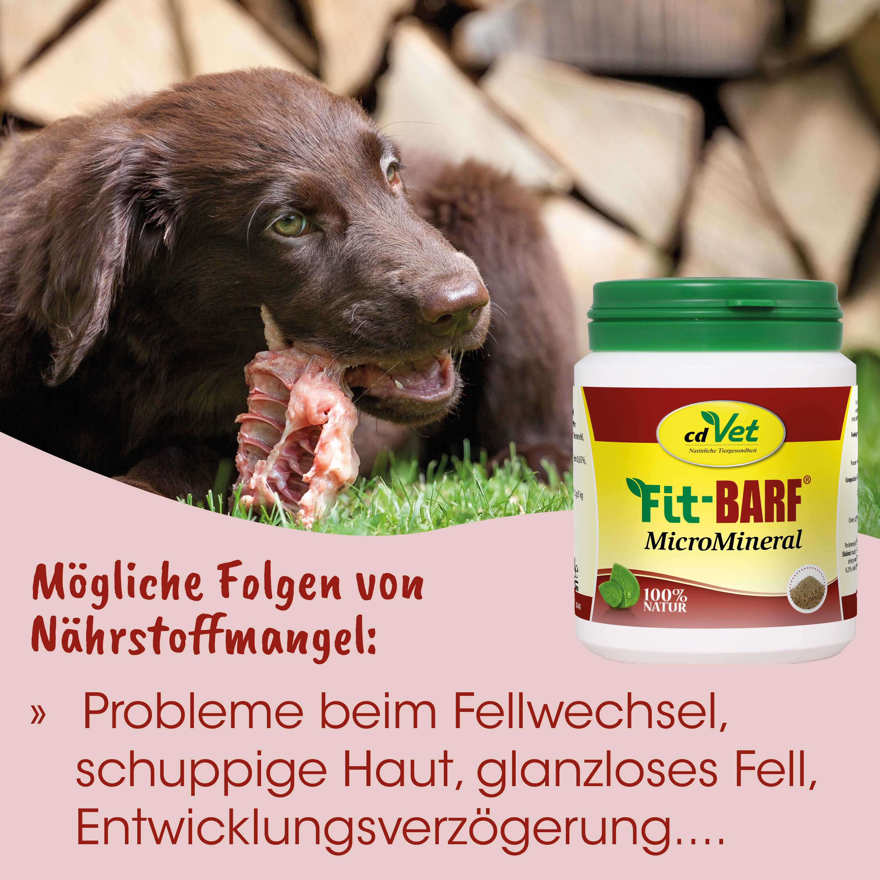 Hundefutter, Knochen, Barf, Mineralien, Nahrungsergänzung
