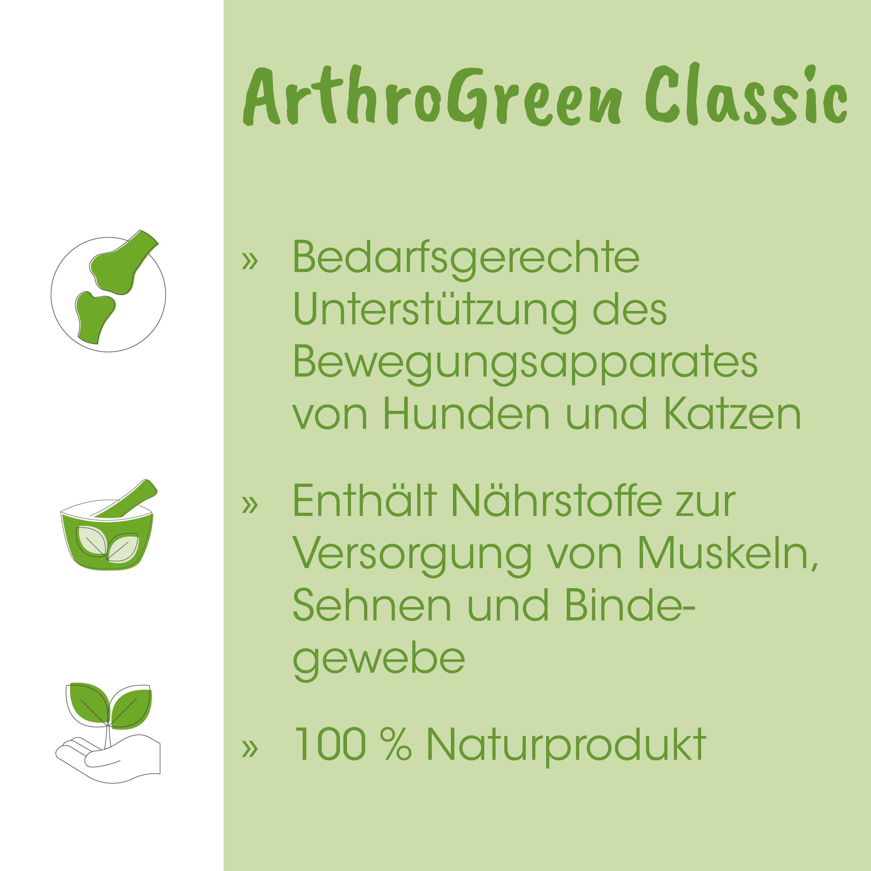 natürlich, organisch, pflanze, grün, hand