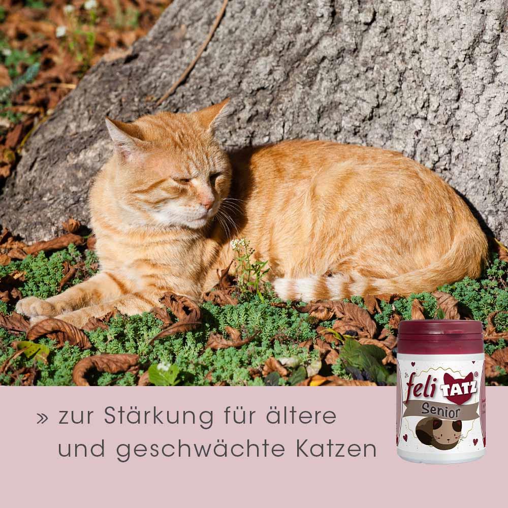 feliTATZ Senior 70 g