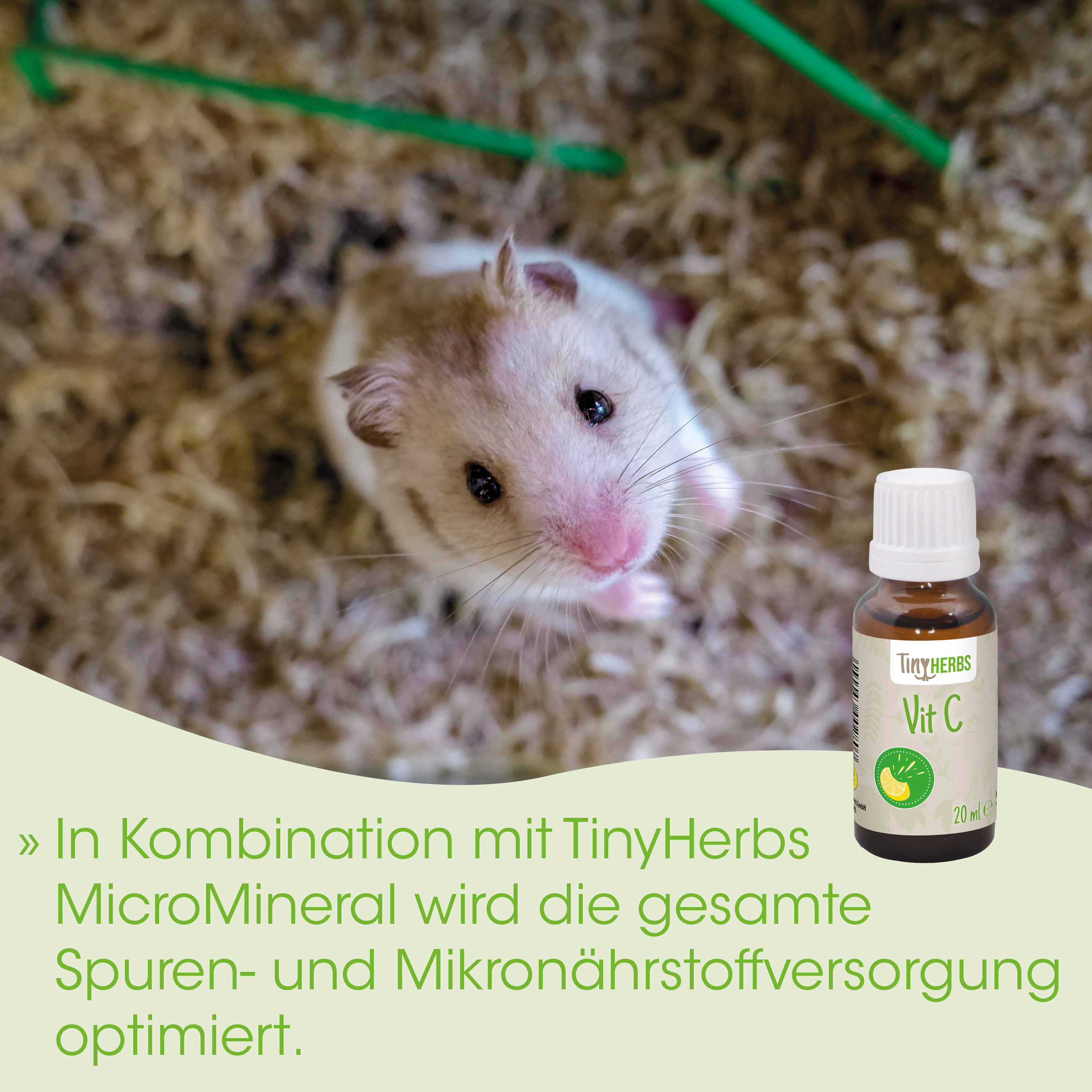 Hamster, Tier, Wasserflasche, Vitamin C, Tiny Herbs