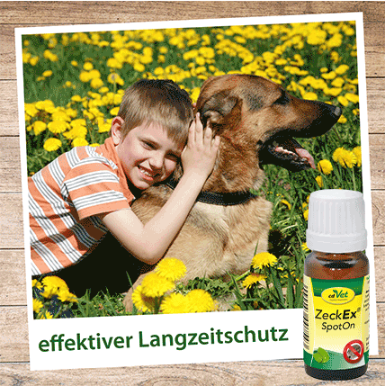 Hund, Tierpflege, Spot-On, Zeckenex, Langzeitschutz