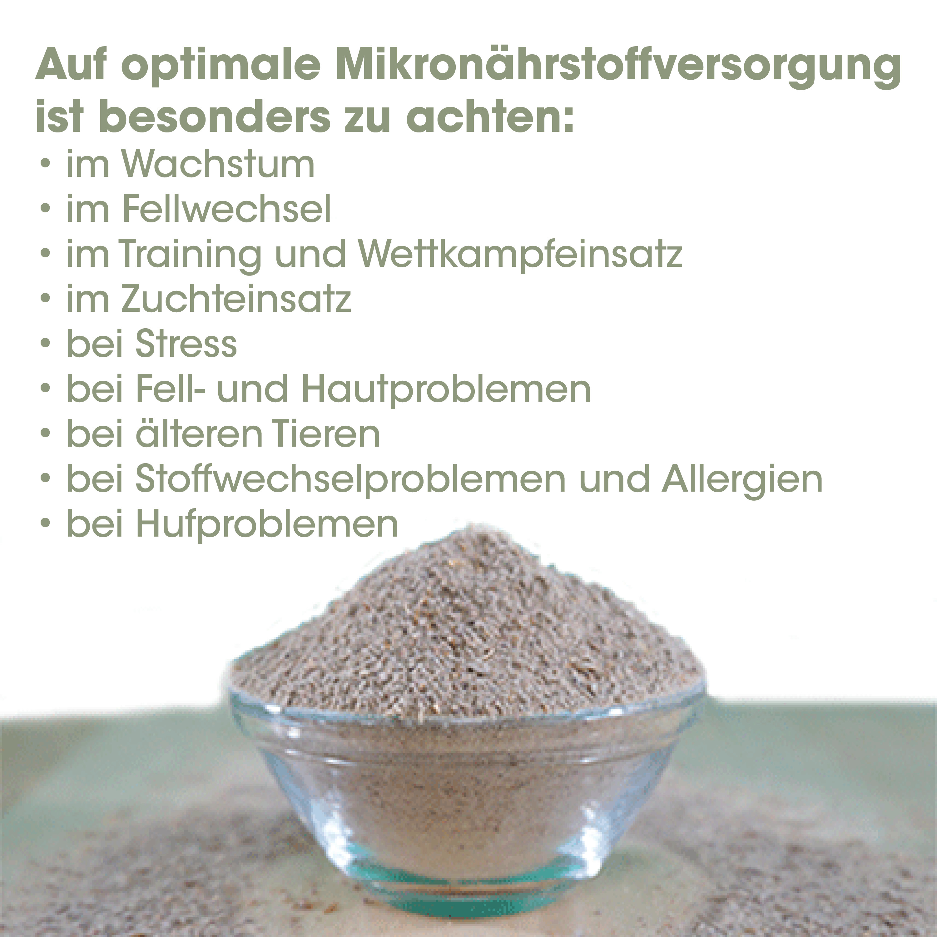 Chia-Samen, Sesam/Saat, Körner, Mikronährstoff, Glasbehälter