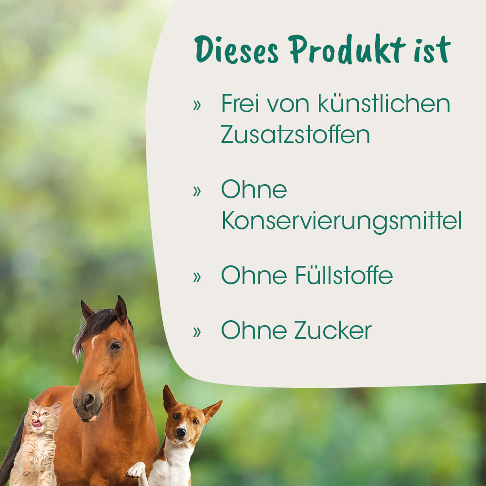 tierliebe, katze, hund, pferd, tiere