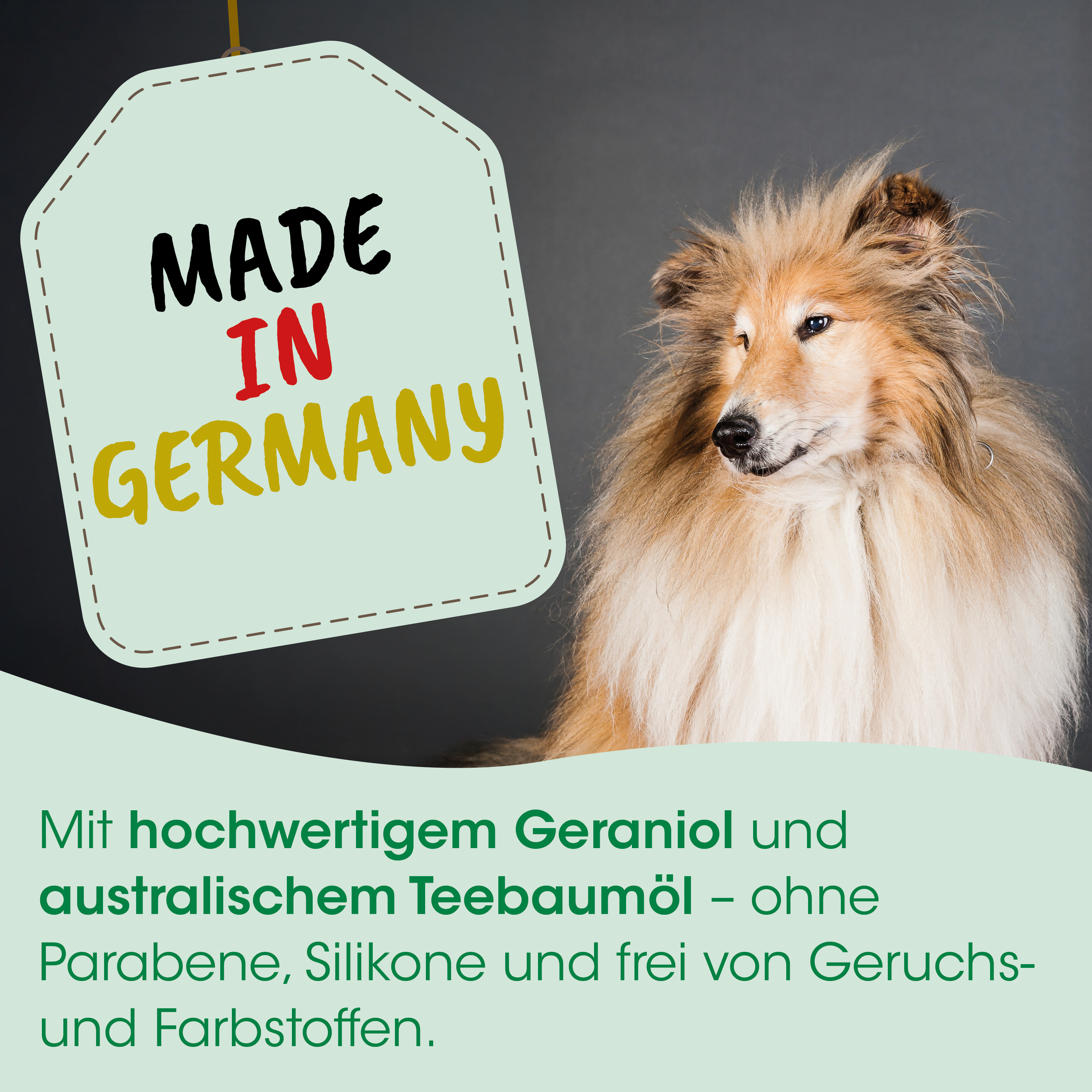Hund, Collie, Langhaar, Premium-Look, Grau-Schwarz