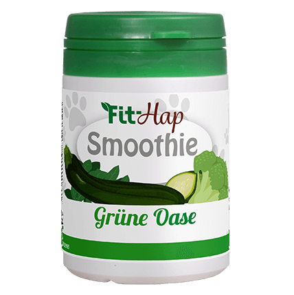 Fit-Hap Smoothie Oasis verte 40 g