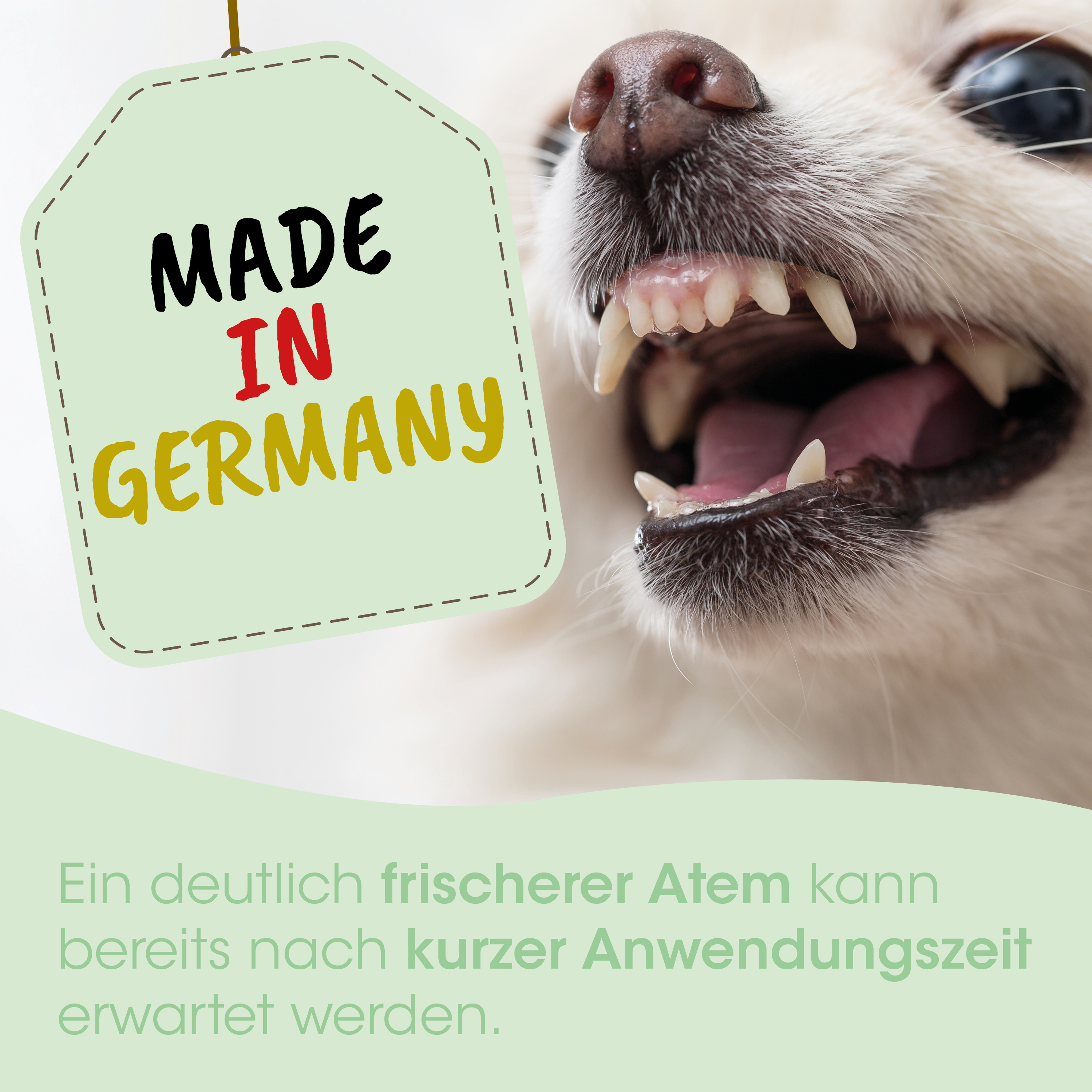 made in germany, dog tag, mouth, teeth, collar tag