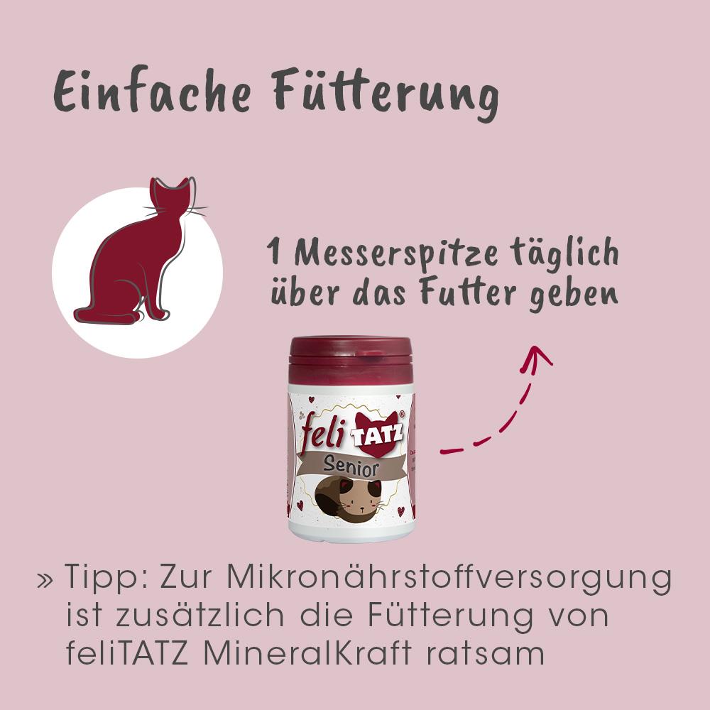 feliTATZ Senior 70 g